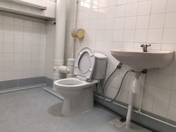 Blk 275 Choa Chu Kang Avenue 2 (Choa Chu Kang), HDB Executive #201910912
